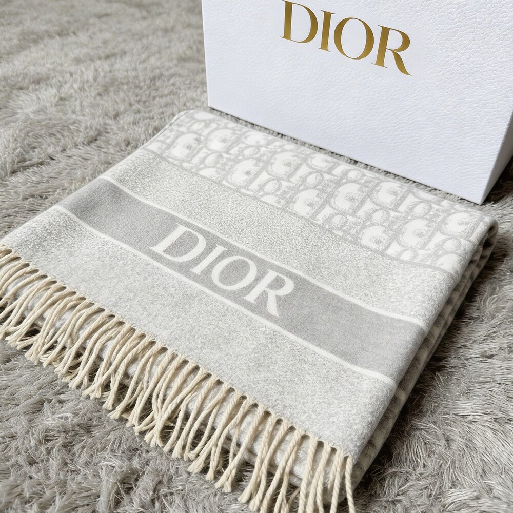 Dior Light Gray Ivory Oblique Signature Scarf